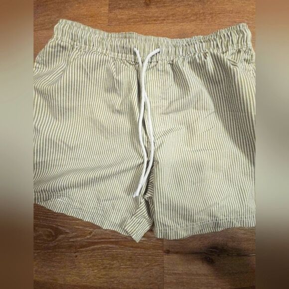 Men's Green Striped Swim Shorts - Picture 2 of 8